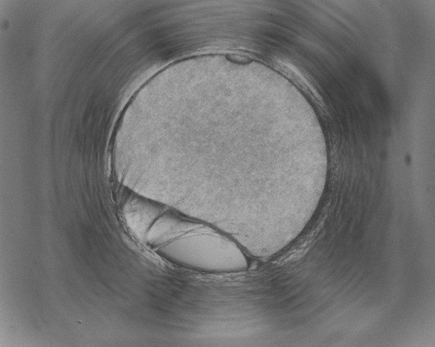 X0000067840900200605111639