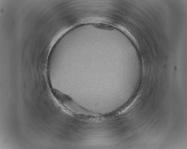 X0000067840901200605111639