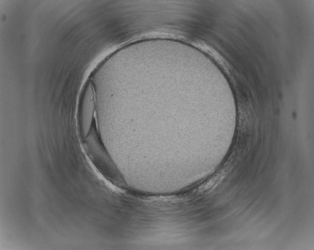 X0000067840902200605111639