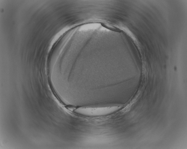 X0000067840910200605111639