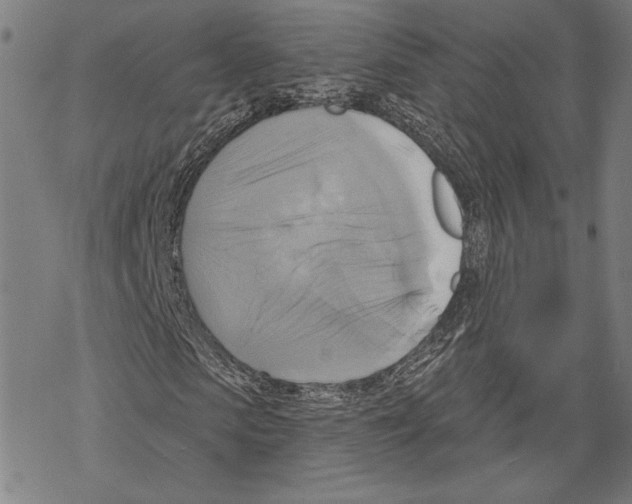 X0000067840913200605111638