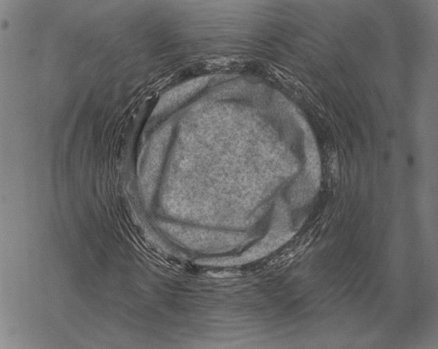 X0000067840914200605111638