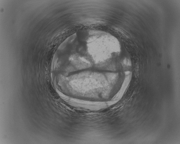 X0000067840917200605111638