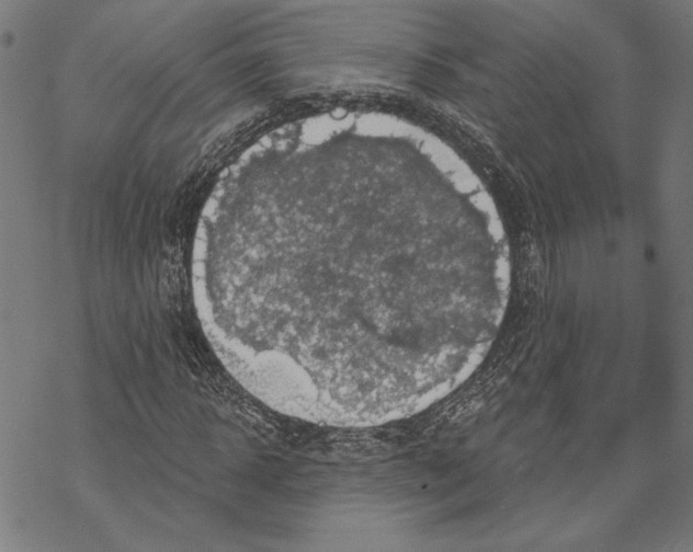 X0000067840918200605111638