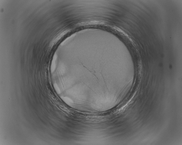 X0000067840921200605111638