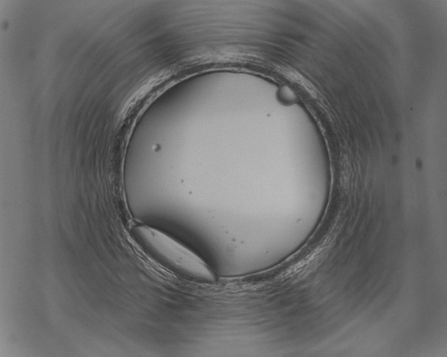 X0000067840922200605111638