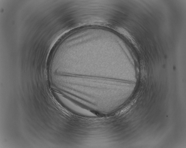 X0000067840924200605111638