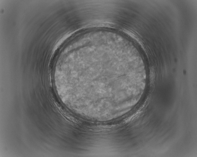 X0000067840925200605111639