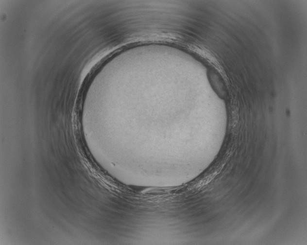 X0000067840928200605111639