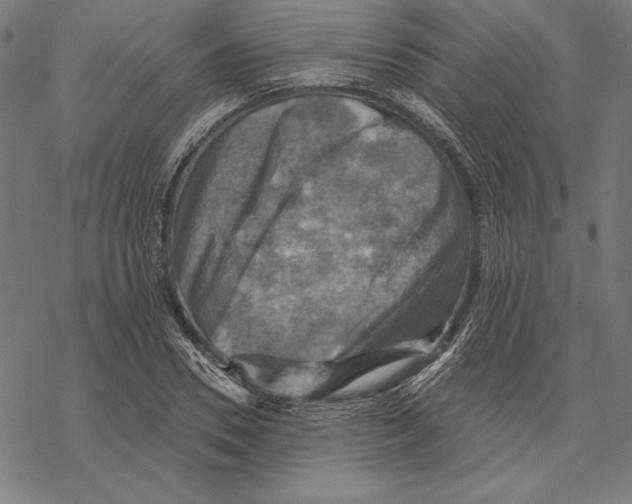 X0000067840930200605111639