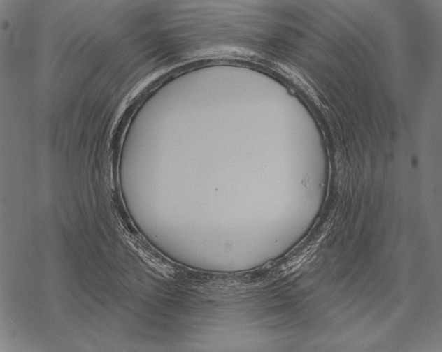 X0000067840931200605111639