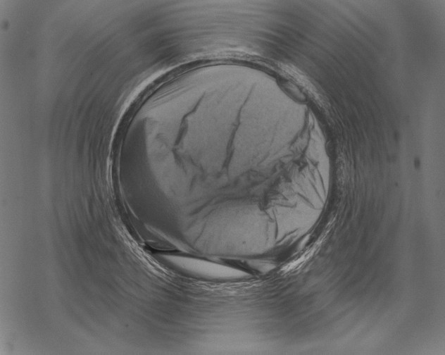 X0000067840932200605111639