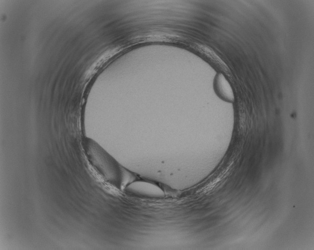 X0000067840938200605111639