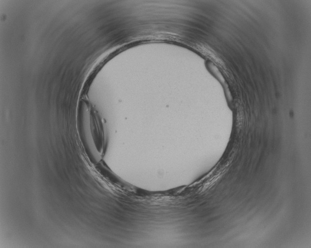 X0000067840940200605111639