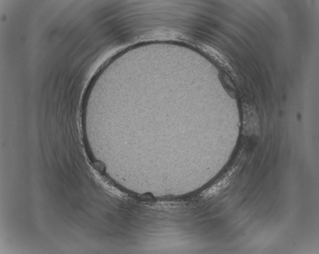 X0000067840942200605111639