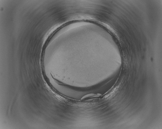 X0000067840943200605111639