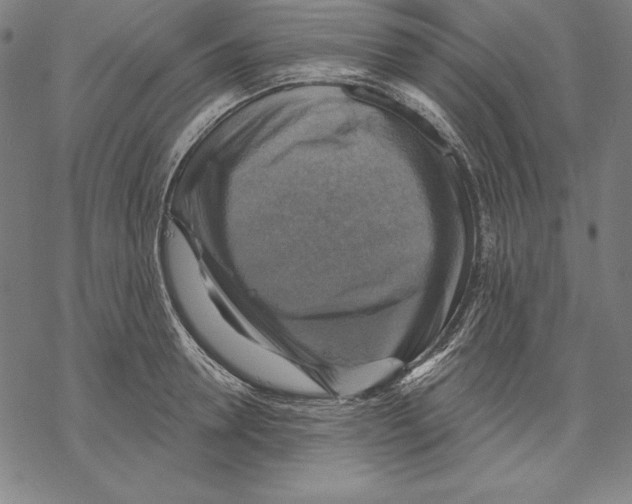 X0000067840946200605111639