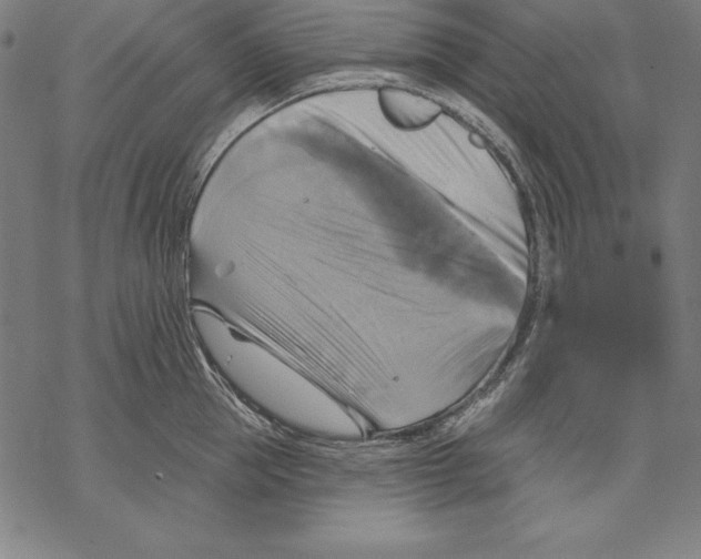 X0000067840953200605111639