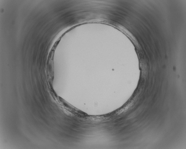 X0000067840956200605111639