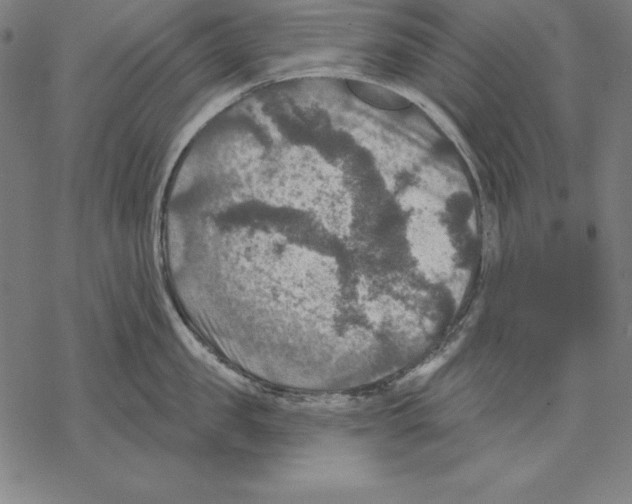 X0000067840957200605111639