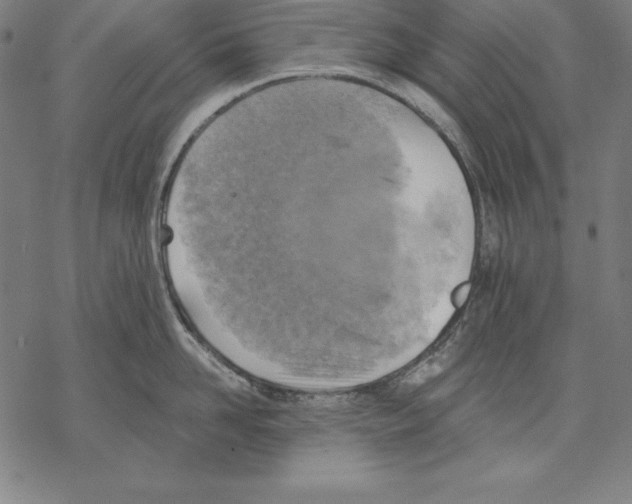 X0000067840958200605111639