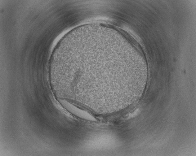 X0000067840960200605111639