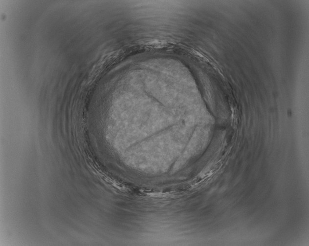 X0000067840961200605111638