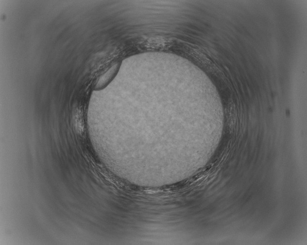 X0000067840962200605111638