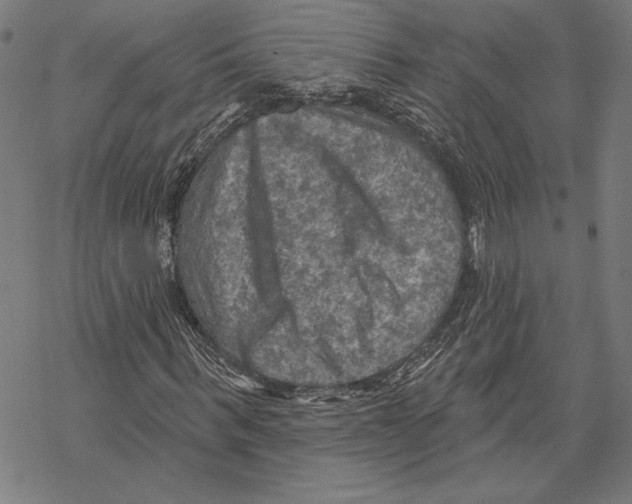 X0000067840963200605111638