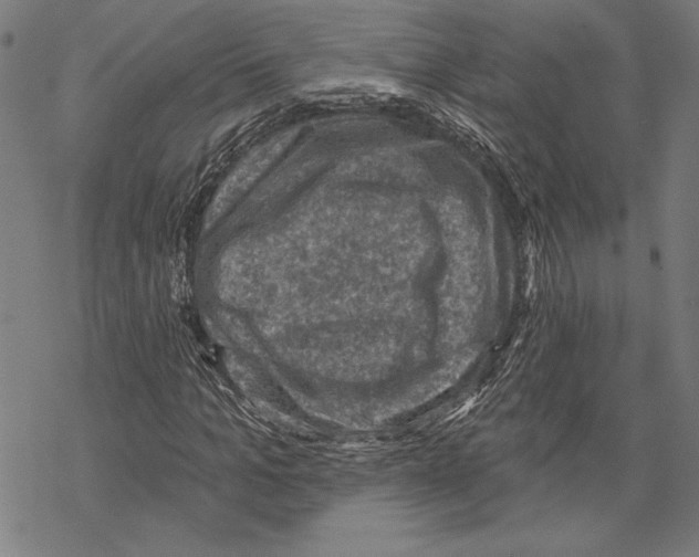 X0000067840965200605111638