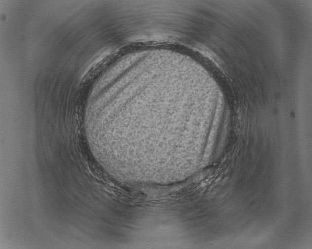 X0000067840967200605111638