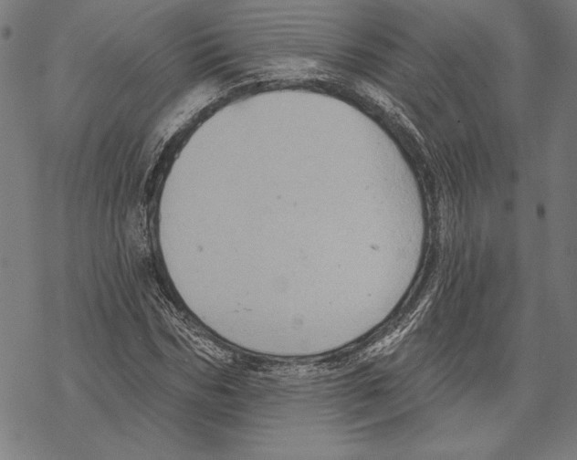 X0000067840970200605111638