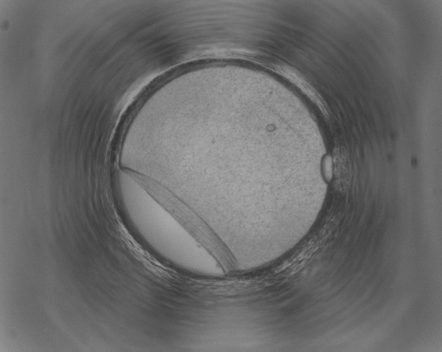 X0000067840972200605111638