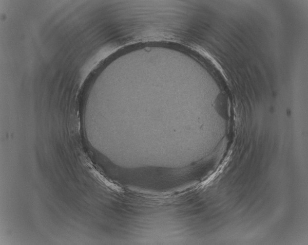 X0000067840973200605111638