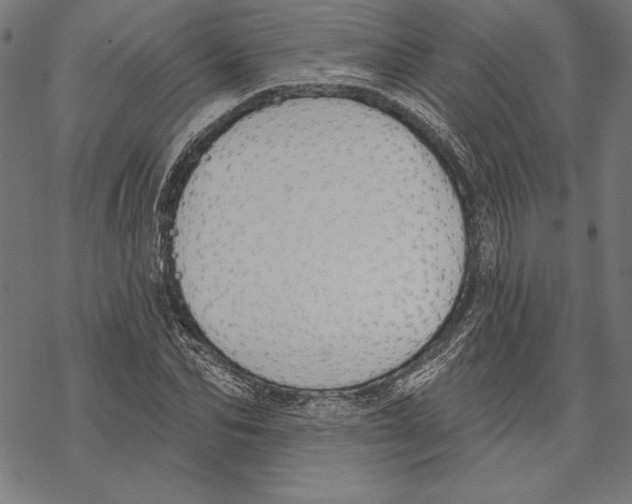 X0000067840974200605111638