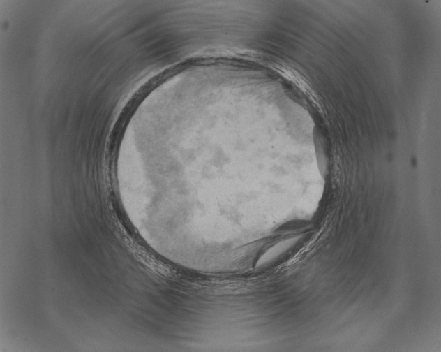 X0000067840976200605111638