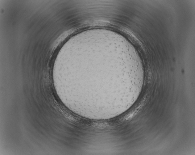 X0000067840978200605111638