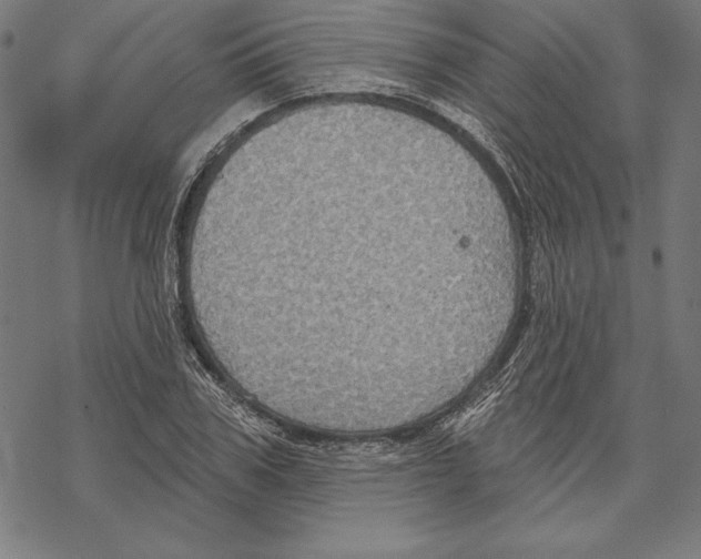 X0000067840979200605111638