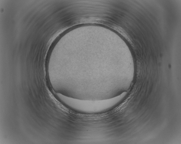 X0000067840980200605111638