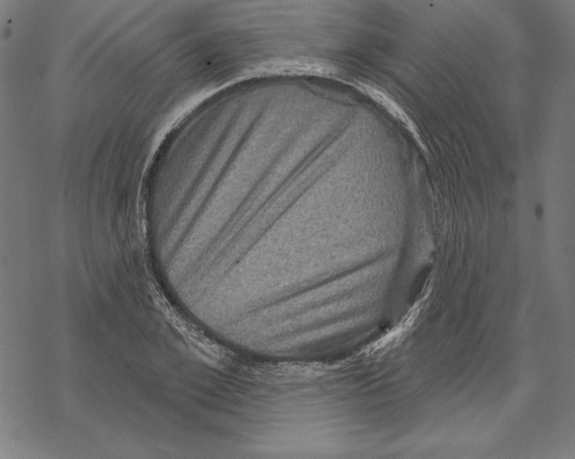 X0000067840981200605111638