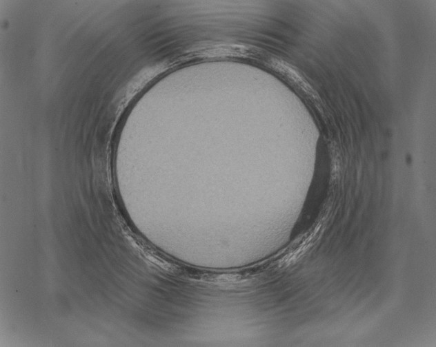 X0000067840986200605111638