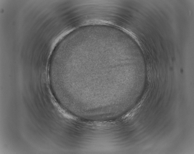 X0000067840987200605111638