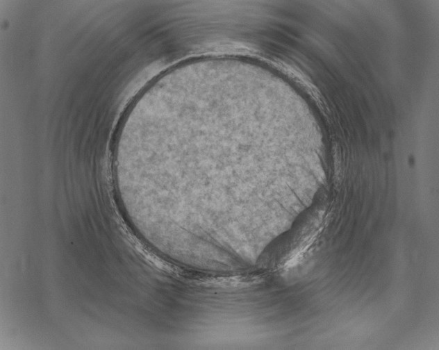 X0000067840990200605111638