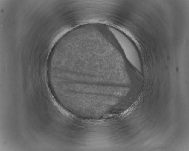 X0000067840991200605111638