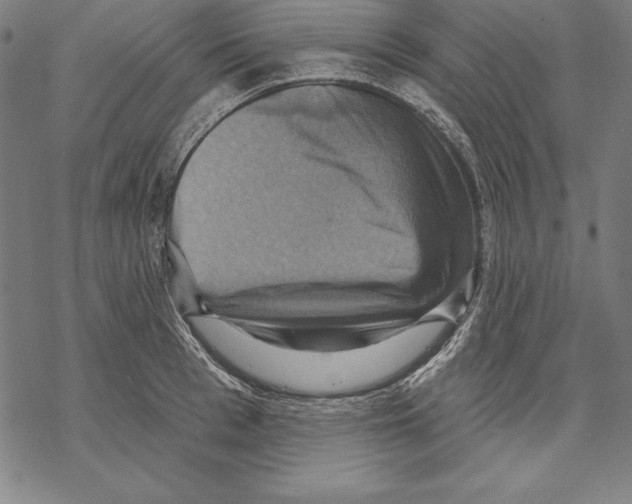 X0000067840993200605111638