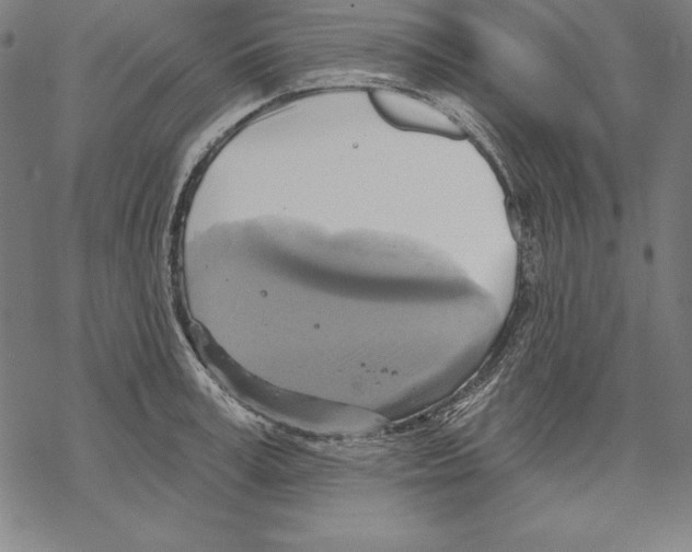 X0000067840995200605111638