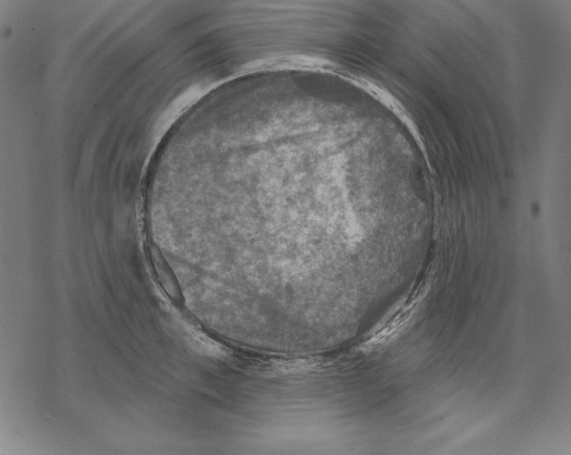 X0000067840997200605111638