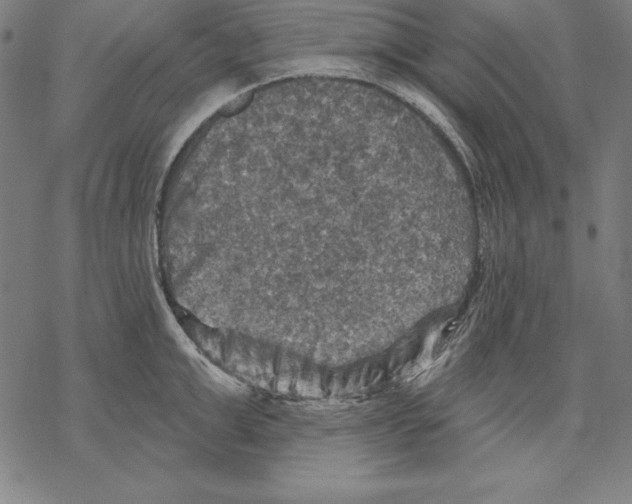 X0000067840999200605111638