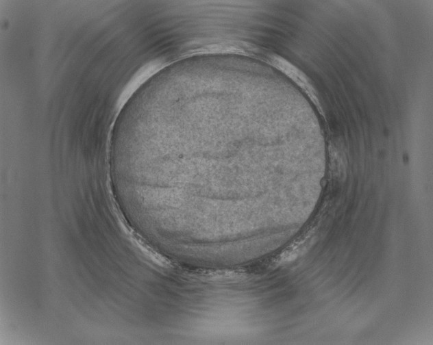 X0000067841002200605111638