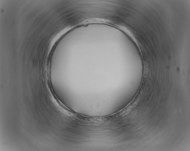 X0000067841003200605111638